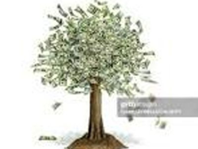 school-bus-contract-business-for-sale-1