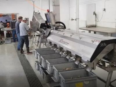 manufacturing-business-for-sale-stainless-steel-equipment-fabrication-tas-1