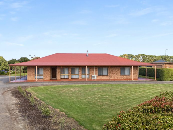 high-potential-pet-boarding-grooming-business-for-saleprime-mount-gambier-sa-6