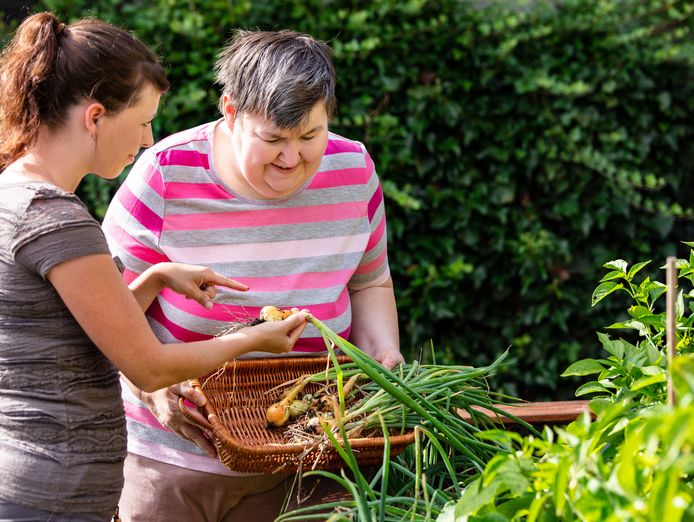 care-world-franchise-for-sale-trusted-ndis-provider-community-in-home-care-2