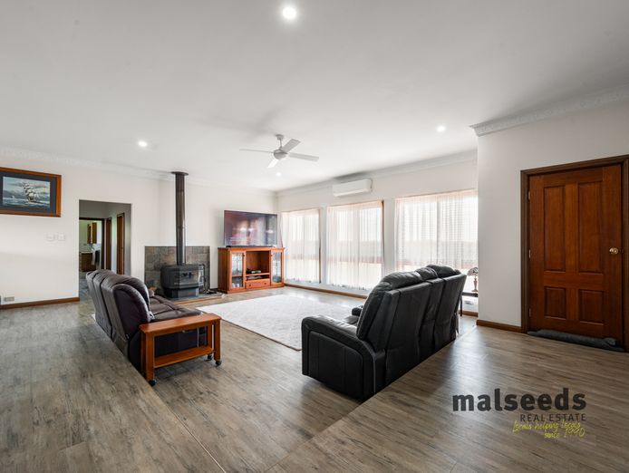 high-potential-pet-boarding-grooming-business-for-saleprime-mount-gambier-sa-5