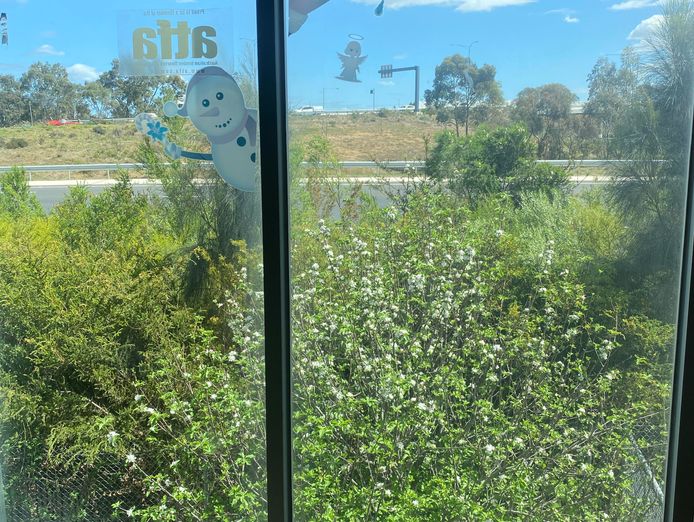 established-flooring-supply-installation-business-for-sale-2