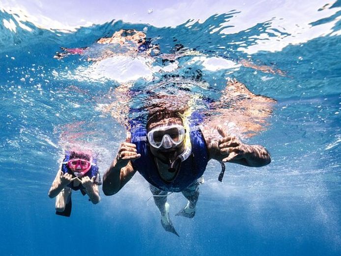 iconic-business-under-management-nett-profit-125kpa-0