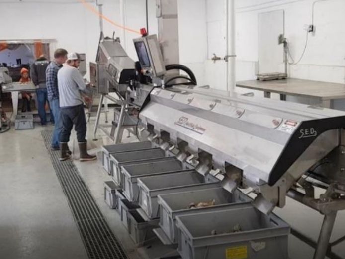 well-established-manufacturing-business-for-sale-stainless-steel-equipment-1