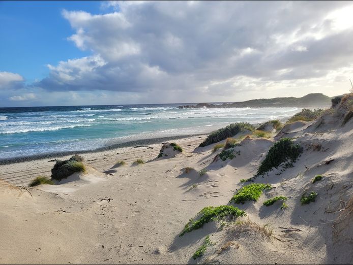 flourishing-car-rental-business-for-sale-busy-king-island-tasmania-location-3