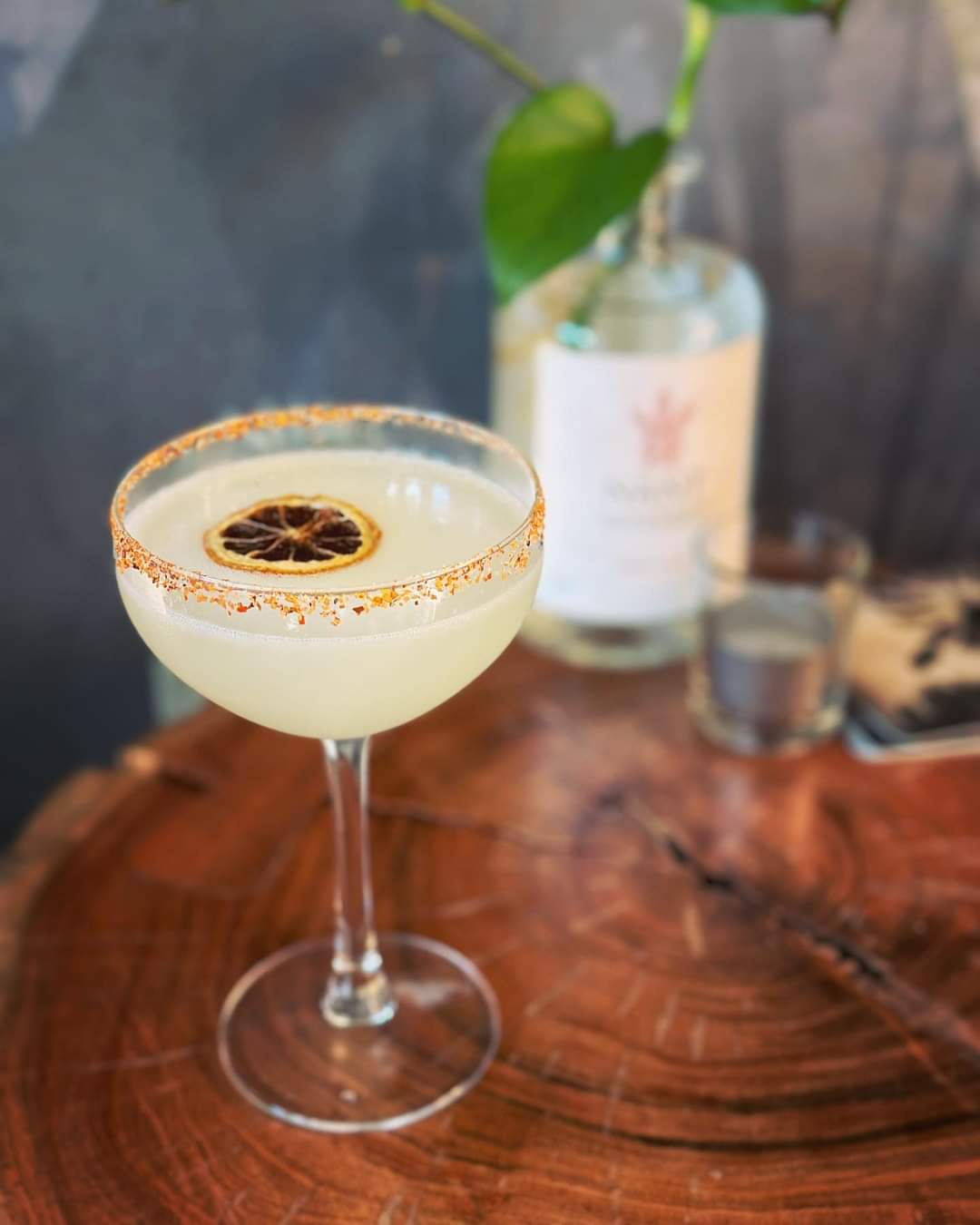 Aerie Gin & Wine Bar in Tamborine Mountain QLD, 4272 SEEK Business