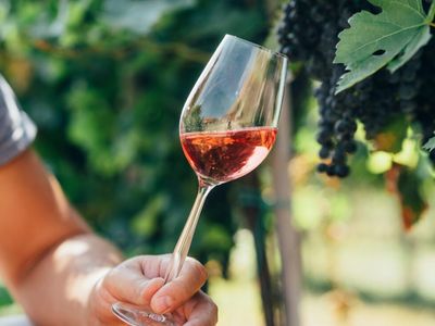 ballandean-estate-vineyard-winery-for-sale-8