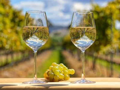 ballandean-estate-vineyard-amp-winery-for-sale-5