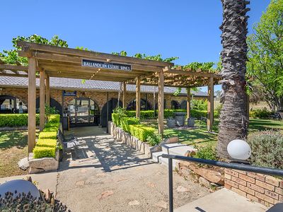 ballandean-estate-vineyard-winery-for-sale-0