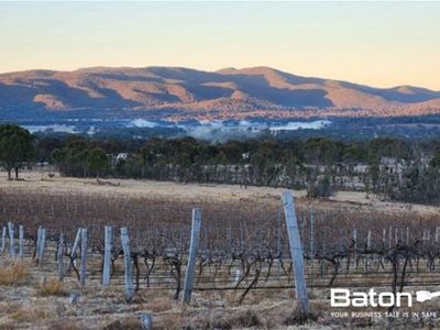 ballandean-estate-qld-39-s-oldest-operated-winery-est-1932-1