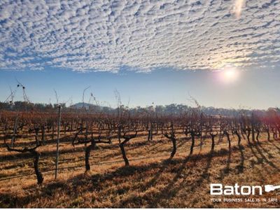 ballandean-estate-vineyard-winery-for-sale-4