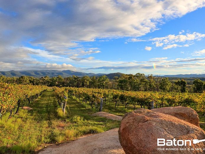 ballandean-estate-vineyard-winery-for-sale-3