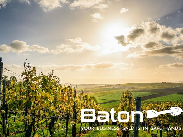 ballandean-estate-vineyard-winery-for-sale-9
