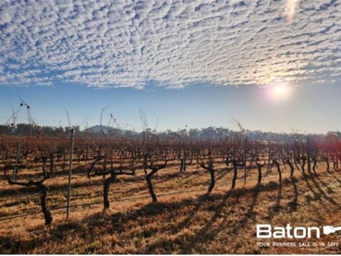 ballandean-estate-qld-39-s-oldest-operated-winery-est-1932-3