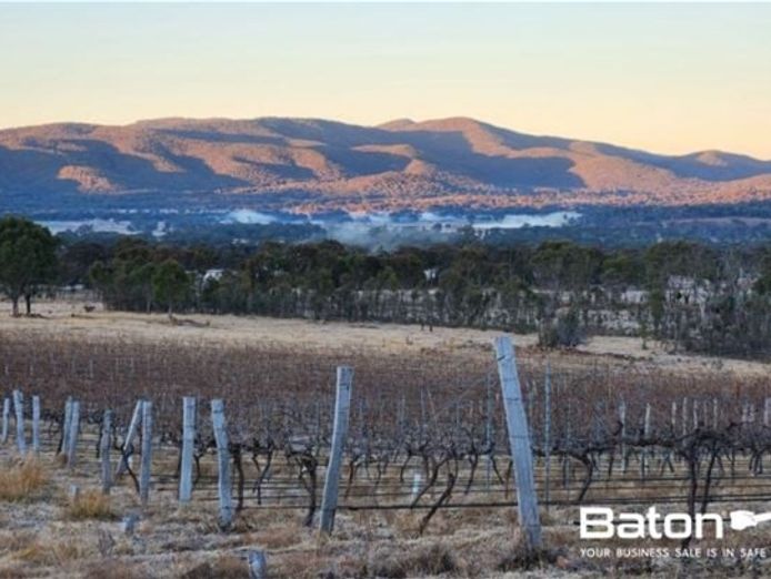 ballandean-estate-qld-39-s-oldest-operated-winery-est-1932-1