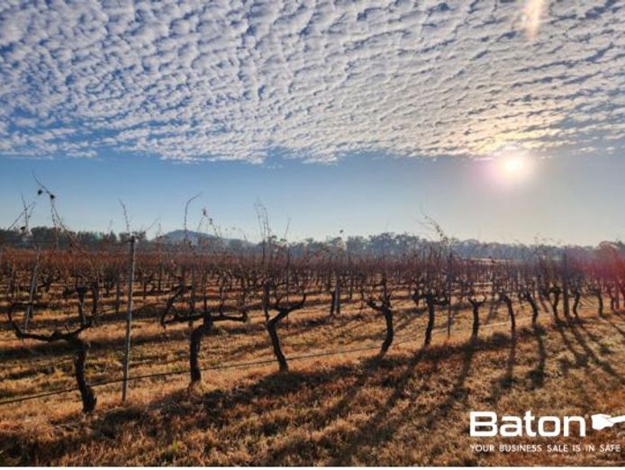 ballandean-estate-vineyard-winery-for-sale-4