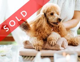 SOLD! Dog Daycare & Grooming Business SOLD!