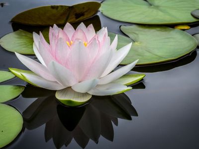 skin-amp-beauty-clinic-in-brisbane-2