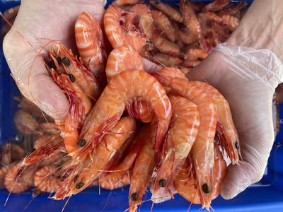 established-mobile-seafood-retail-business-three-turnkey-outlets-included-0