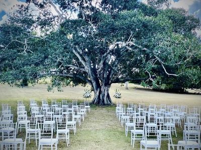 party-amp-event-hire-1