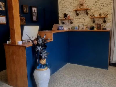 pet-cremation-services-1