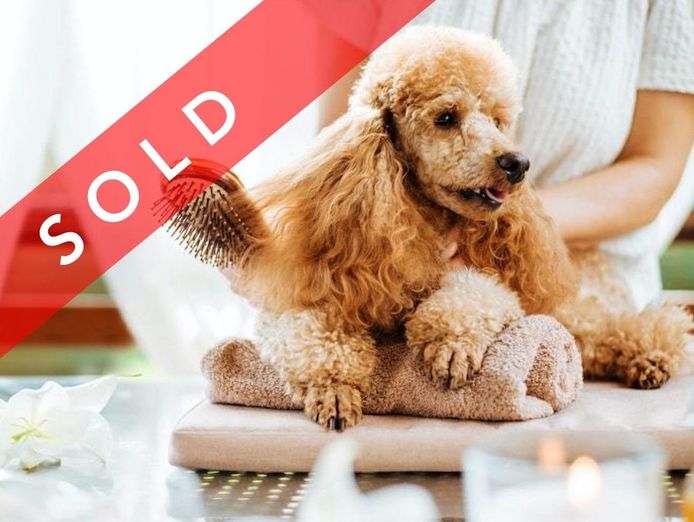 sold-dog-daycare-amp-grooming-business-sold-0