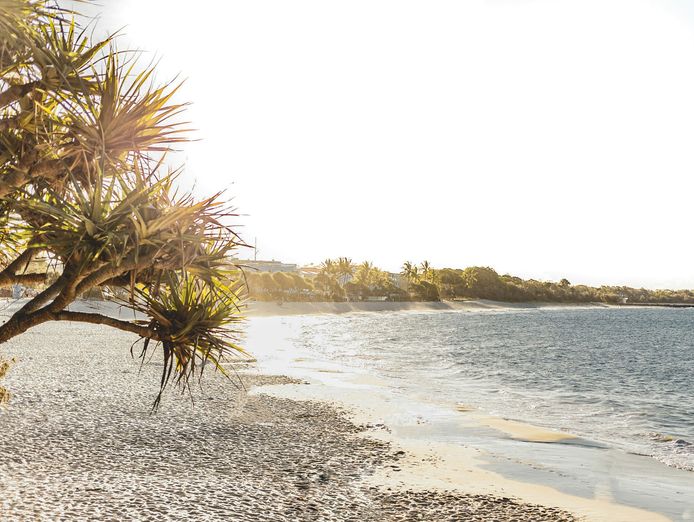 art-and-retail-business-for-sale-iconic-hastings-street-noosa-heads-location-0