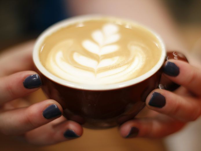 premium-specialty-coffee-caf-233-prime-port-douglas-location-0