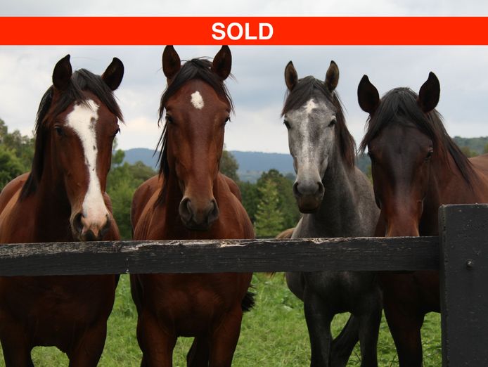 sold-animal-produce-store-0
