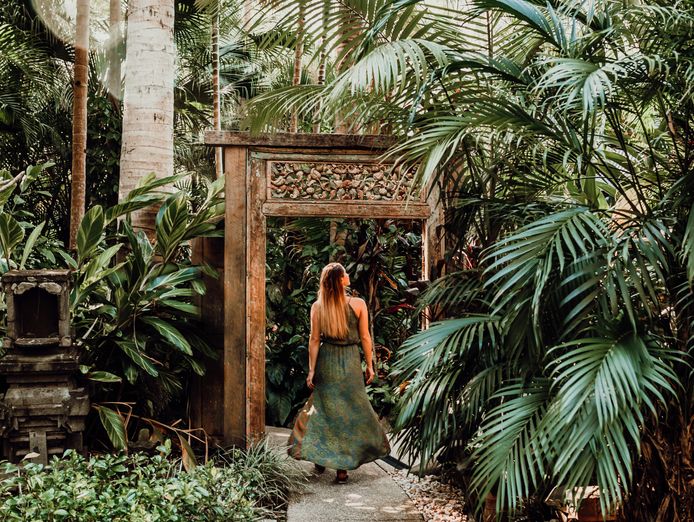 award-winning-noosa-wellness-destination-freehold-property-rare-business-amp-p-4