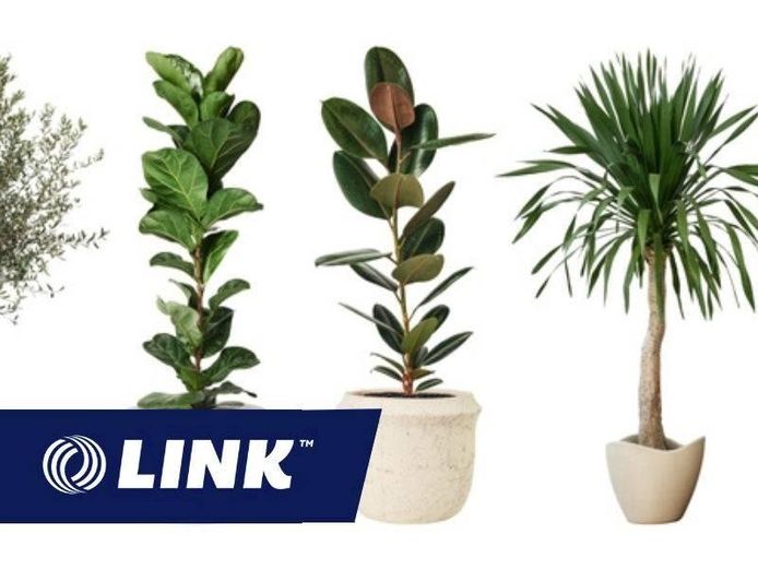 ecommerce-plant-business-scalable-amp-sustainable-0