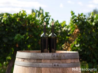 under-offer-award-winning-swan-valley-winery-vineyard-restaurant-3
