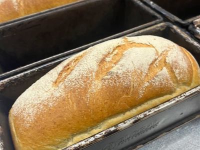 well-established-family-owned-bakery-sor-2