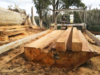 timber-trade-supply-manufacturing-business-for-sale-2