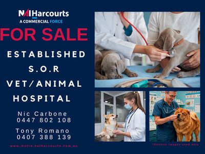 confidential-veterinary-practice-0