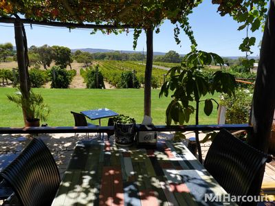 under-offer-award-winning-swan-valley-winery-vineyard-restaurant-2