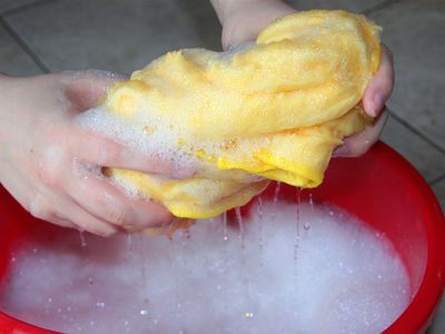 if-you-are-looking-for-a-good-cleaning-business-to-purchase-7