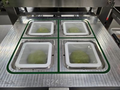 established-mochi-manufacturing-business-4
