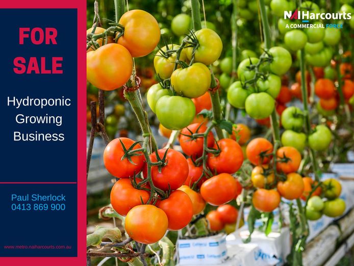 wiwo-for-sale-one-of-was-largest-hydroponic-growers-0