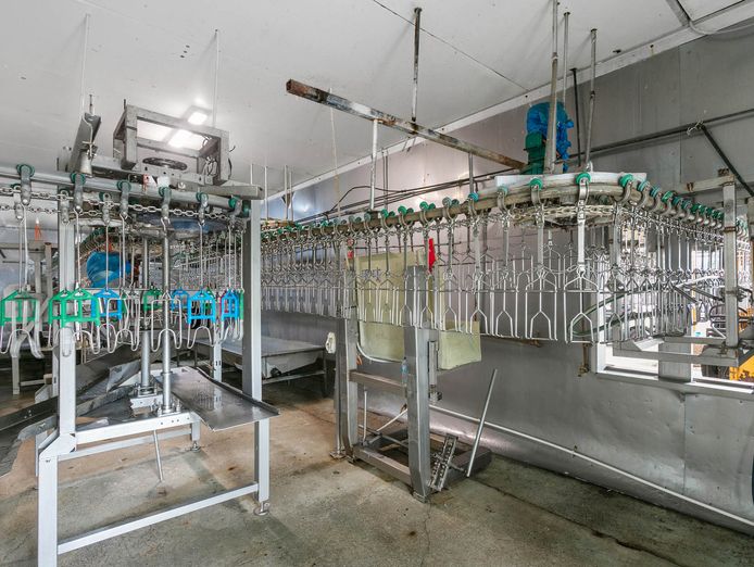 on-offer-a-poultry-processing-facility-with-freehold-9