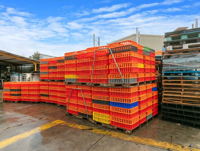 on-offer-a-poultry-processing-facility-with-freehold-3
