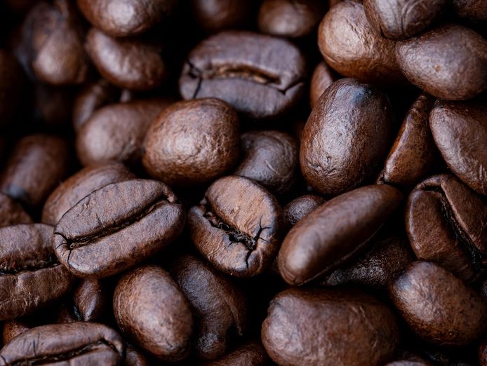 one-of-the-best-cafes-in-a-prime-location-4