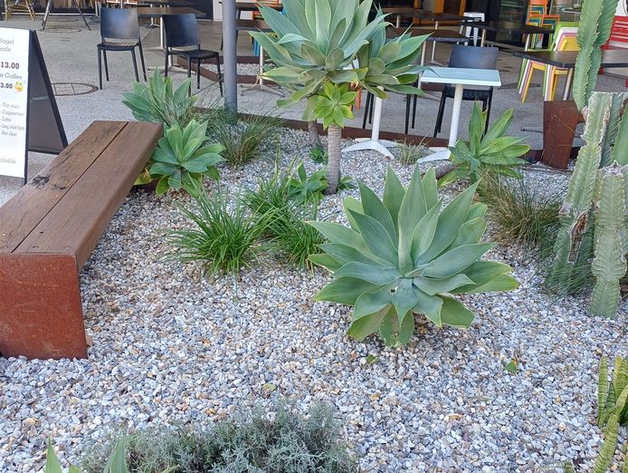 beautifully-presented-cafe-coffee-fremantle-2