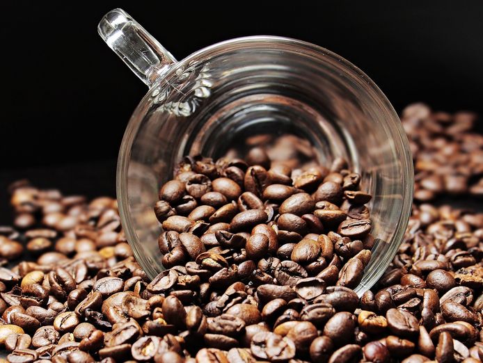 thriving-cafe-in-the-heart-of-subiaco-4