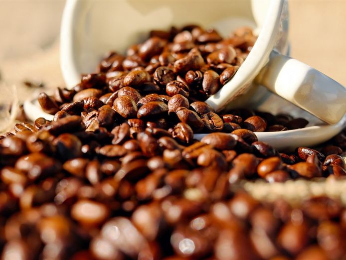 premium-cafe-business-for-sale-3