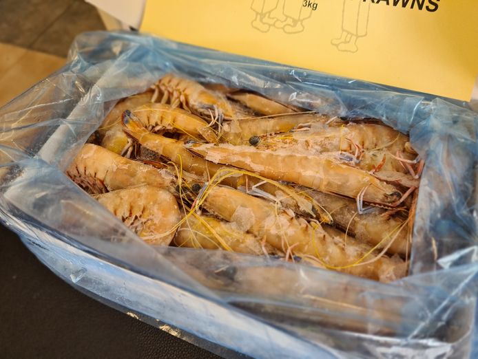 established-profitable-wholesale-food-distribution-business-5