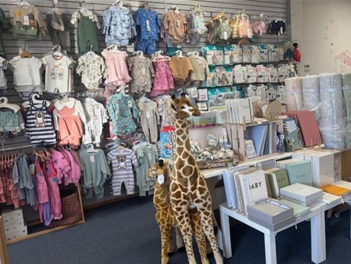 for-sale-established-children-39-s-products-retailer-nor-4