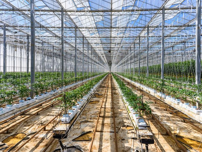 wiwo-for-sale-one-of-was-largest-hydroponic-growers-4