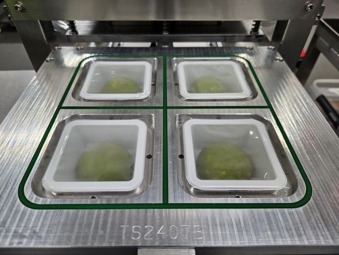 established-mochi-manufacturing-business-4