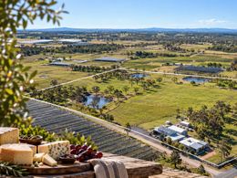 A Taste of the Granite Belt – Cheese Factory & Freehold